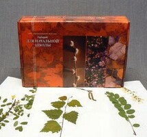 Гербарий для Начальной школы (28 видов) - fgospostavki.ru - Киров