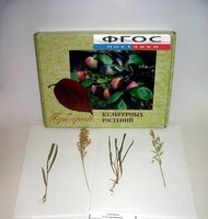 Гербарий "Культурные растения" (28 видов) - fgospostavki.ru - Киров