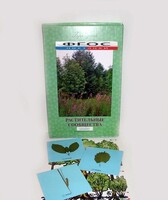 Гербарий "Растительные сообщества" (9 видов х 5 планшетов) - fgospostavki.ru - Киров