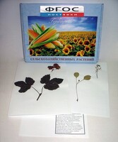 Гербарий "Сельскохозяйственные растения" (28 видов) - fgospostavki.ru - Киров