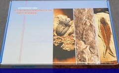 Коллекция "Палеонтологическая" (16 образцов) - fgospostavki.ru - Киров