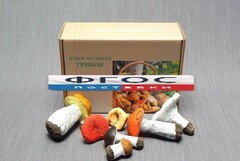 Набор муляжей грибов - fgospostavki.ru - Киров