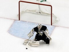 Гашение (отбойники) для хоккейных ворот - fgospostavki.ru - Киров