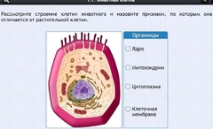 Интерактивные курсы. Биология 8 класс. Базовый - fgospostavki.ru - Киров