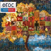 Начальная школа. Иностранный язык. (Цифровая база изображений) - fgospostavki.ru - Киров