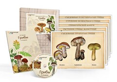 Комбинированное наглядное пособие  «Грибы» - fgospostavki.ru - Киров