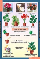 Комплект таблиц. Окружающий мир 1 класс. - fgospostavki.ru - Киров