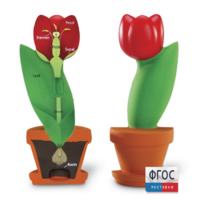 Модель цветка - fgospostavki.ru - Киров