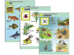 Комплект таблиц "Окружающий мир. Животный мир" (8 таблиц, А1, ламинированные) - fgospostavki.ru - Киров