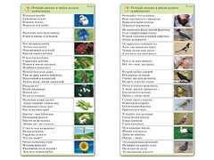 Комплект карточек (10) "Обучающий калейдоскоп. Природа" - fgospostavki.ru - Киров