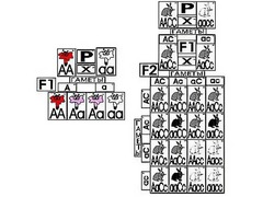 Модель-аппликация "Неполное доминирование и взаимодействие генов" (ламинированная) - fgospostavki.ru - Киров