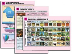 Комплект таблиц по географии "Природа материков и океанов" раздаточные (цветные, ламинированные, А4, 12 штук) - fgospostavki.ru - Киров