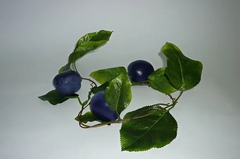 Ветка муляжей "Слива" - fgospostavki.ru - Киров