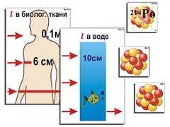 Модель-аппликация "Явление радиоактивности" (ламинированная) - fgospostavki.ru - Киров
