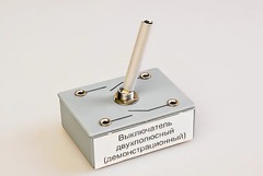 Выключатель двухполюсный (демонстрационный) - fgospostavki.ru - Киров