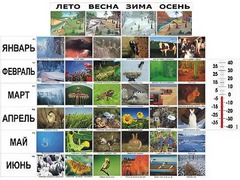 Фенологические наблюдения - fgospostavki.ru - Киров