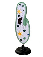 Модель инфузории-туфельки - fgospostavki.ru - Киров