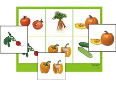 Логопедическое лото "Овощи" (4 планшета, 24 карточки, цветное, ламинированное) - fgospostavki.ru - Киров