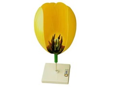 Модель цветка тюльпана - fgospostavki.ru - Киров