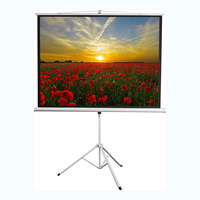 Экран на штативе DSKD-4303 - fgospostavki.ru - Киров