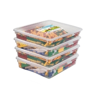 Набор для конструирования «Фанкластик: весь мир в руках твоих 4 (4-5 лет)» - fgospostavki.ru - Киров