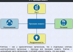 Интерактивные курсы. Биология 5 класс. Базовый - fgospostavki.ru - Киров