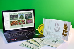 Гербарий натурально-интерактивный "Лекарственные растения" - fgospostavki.ru - Киров