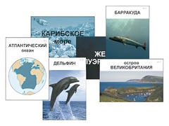 Модель-аппликация "Океаны. Знакомство" (ламинированная) - fgospostavki.ru - Киров