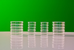 Набор чашек Петри - fgospostavki.ru - Киров