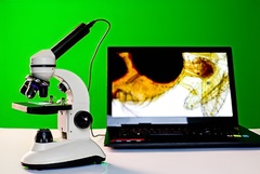 Микроскоп школьный с цифровой камерой - fgospostavki.ru - Киров