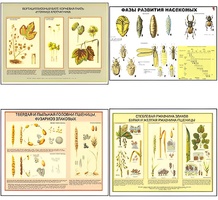 Плакаты ПРОФТЕХ "Вредители и болезни с/х культур и меры борьбы с ними" (11 пл, винил, 70х100) - fgospostavki.ru - Киров