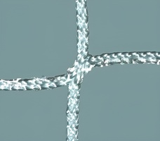 Сетка заградительная (нить 3,5 миллиметров, ячейка 100х100 миллиметров) - fgospostavki.ru - Киров