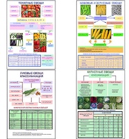Плакаты ПРОФТЕХ "Классификация овощей" (11 пл, винил, 70х100) - fgospostavki.ru - Киров