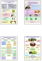Плакаты ПРОФТЕХ "Классификация овощей и переработка" (8 пл, винил, 70х100) - fgospostavki.ru - Киров