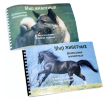 Пособие для слабовидящих - Домашние животные - fgospostavki.ru - Киров