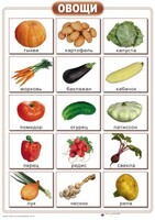 Таблицы "Окружающий мир" (формат А2, ламинированные, 10 таблиц) - fgospostavki.ru - Киров