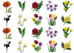 Комплект карточек "Запоминай, играй, считай" - Цветы - fgospostavki.ru - Киров