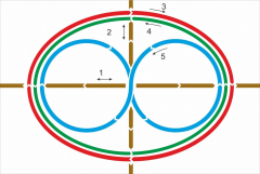 Стенд "Тренажер для глаз" - fgospostavki.ru - Киров