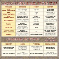 Стенд "Самостоятельные части речи" Вариант 2 - fgospostavki.ru - Киров