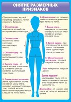 Стенд "Снятие мерок" Вариант 2 - fgospostavki.ru - Киров