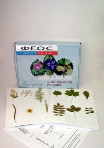 Гербарий "Морфология растений" (5 тем х 3 листа) - fgospostavki.ru - Киров
