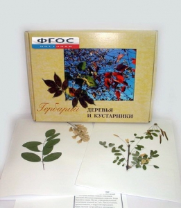 Гербарий "Деревья и кустарники" (20 видов) - fgospostavki.ru - Киров