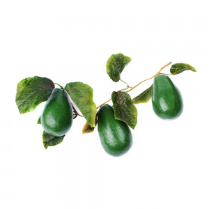 Ветка муляжей "Авокадо" - fgospostavki.ru - Киров