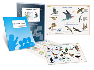 Комплект кодотранспарантов "Зоология. Птицы" - fgospostavki.ru - Киров