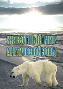 DVD "Животный мир Арктической зоны" - fgospostavki.ru - Киров