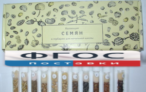 Коллекция "Семена к гербарию для начальной школы" (11 видов) - fgospostavki.ru - Киров