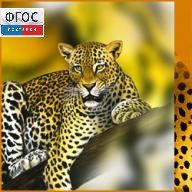 Зоология. (Цифровая база изображений) - fgospostavki.ru - Киров