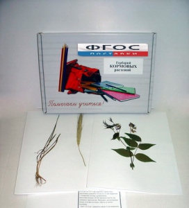 Гербарий "Кормовые растения" (20 видов) - fgospostavki.ru - Киров