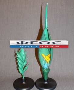 Модель "Цветок пшеницы" - fgospostavki.ru - Киров