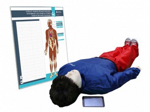 "Игорь-02" манекен-тренажер взрослого пострадавшего для отработки приемов сердечно-легочной реанимации (голова, туловище, конечности) с беспроводным планшетным компьютером и настенным анатомическим табло - fgospostavki.ru - Киров